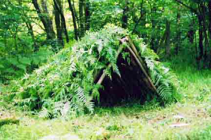 Самодельный шатер в лесу