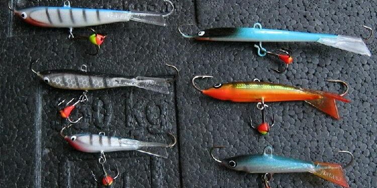 lovlya_sudaka_zimoy_na_balansir