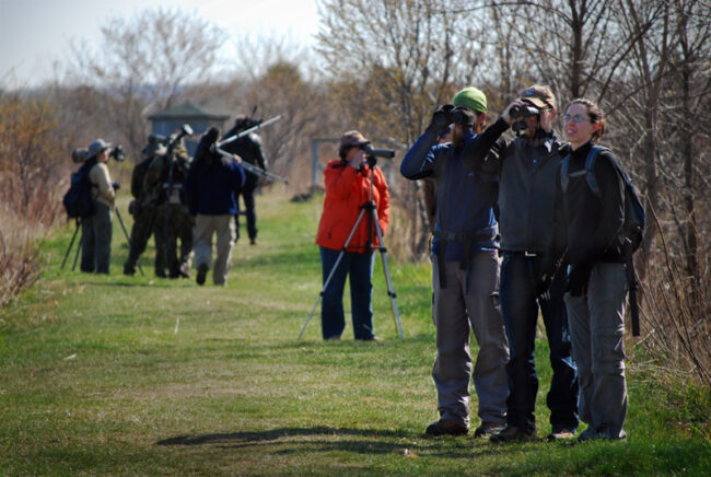 4562480939_e00da84ec5_o